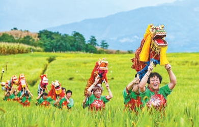 各地開展慶豐收活動三千多場次